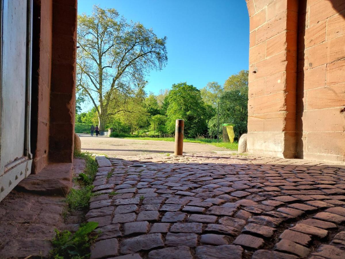 Alsacetime, Centre Parking Gratuit, Tram Wifi, Fibre Orange, Espace De Travail Strasbourg Exterior photo